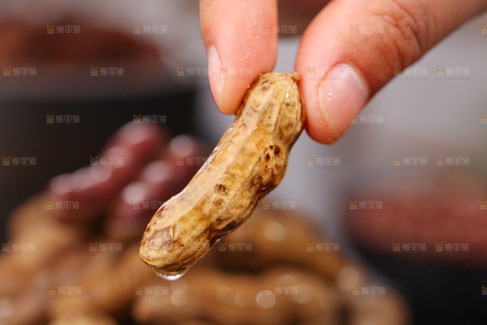 卤花生