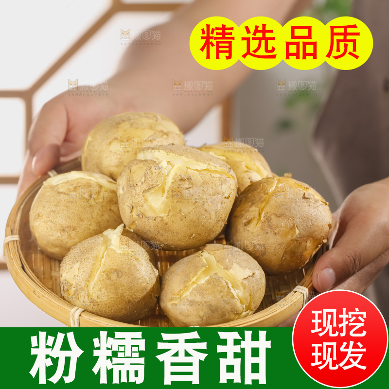 土豆