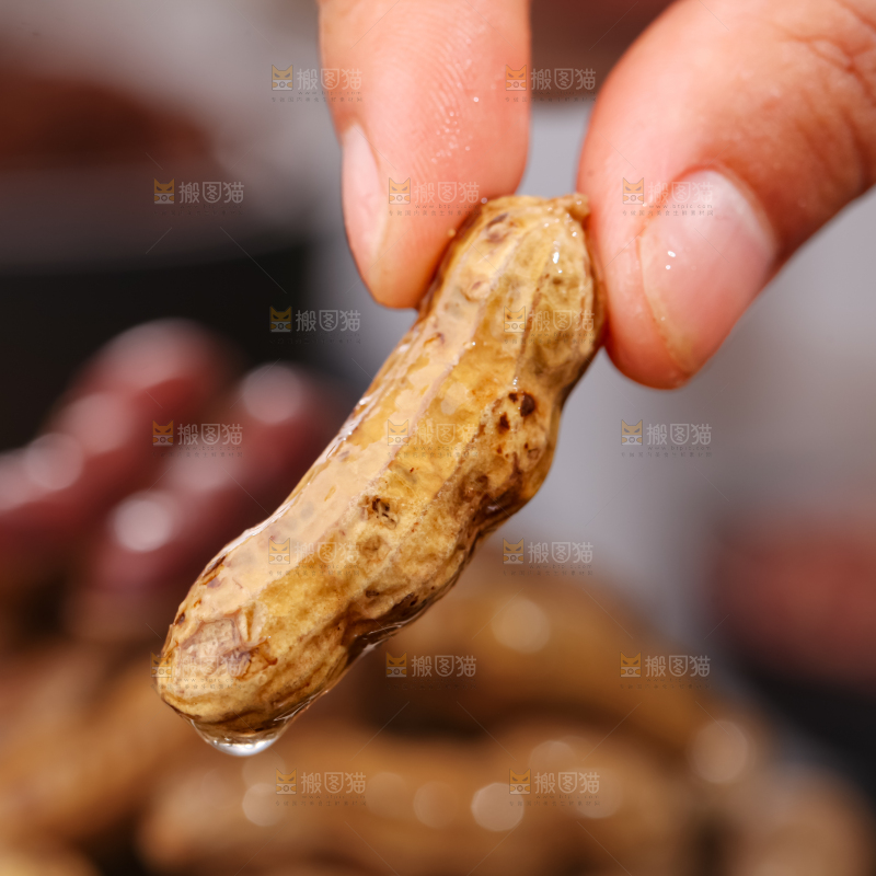 卤花生