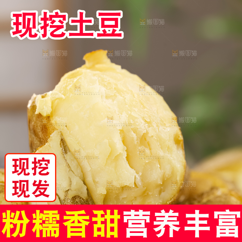土豆