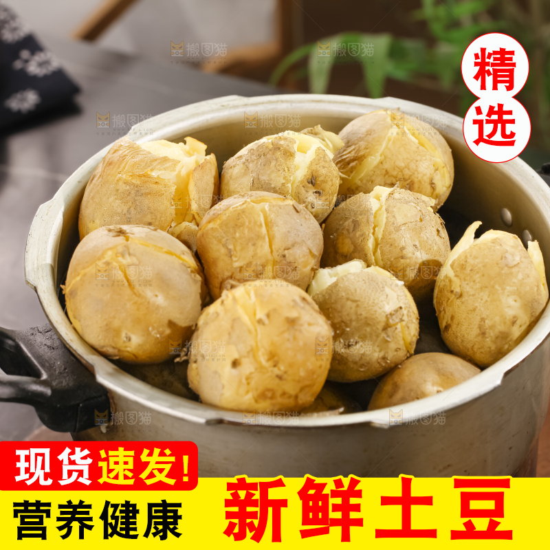 土豆