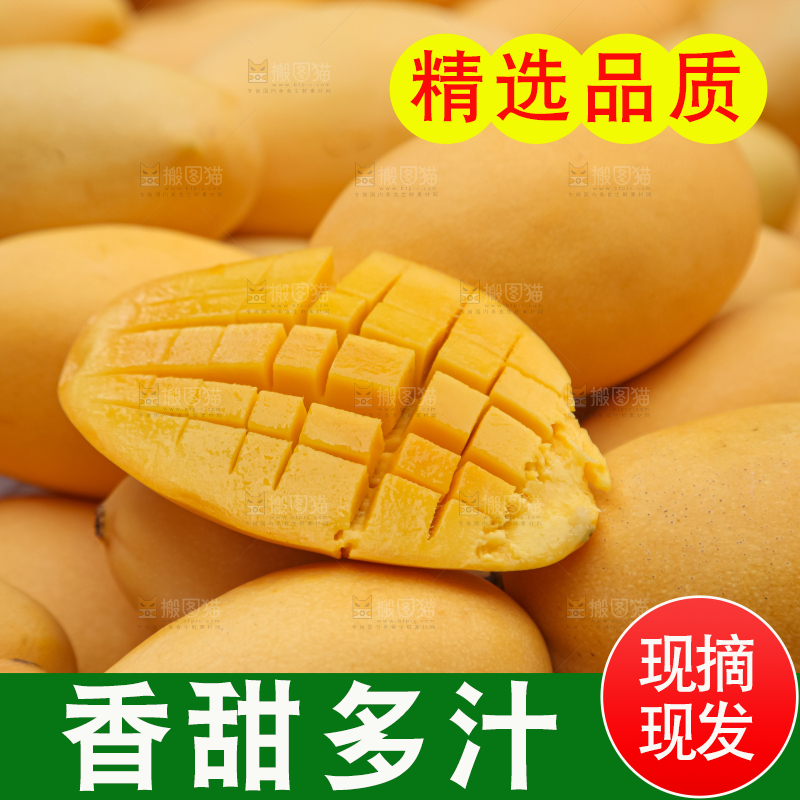 芒果