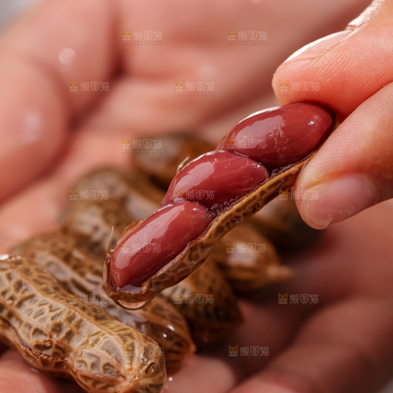 卤花生