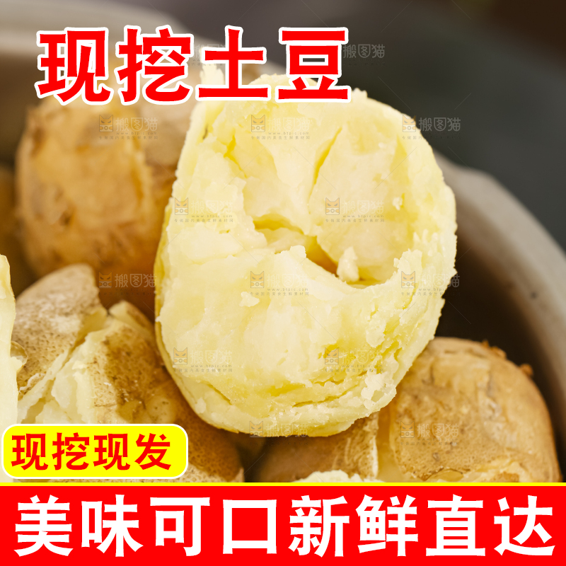 土豆