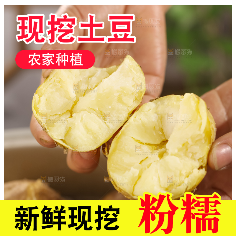 土豆