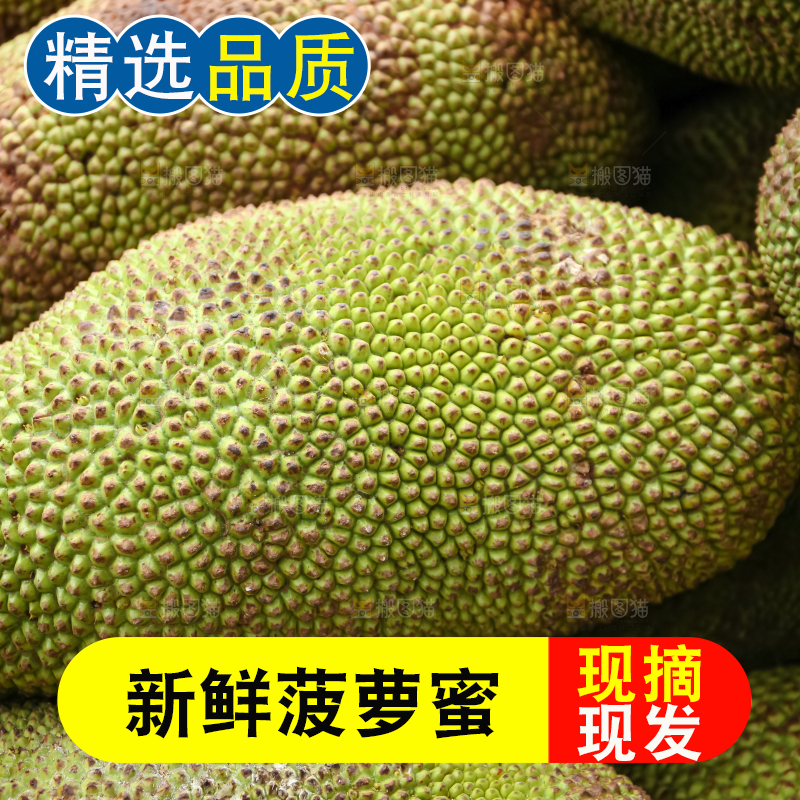 菠萝蜜