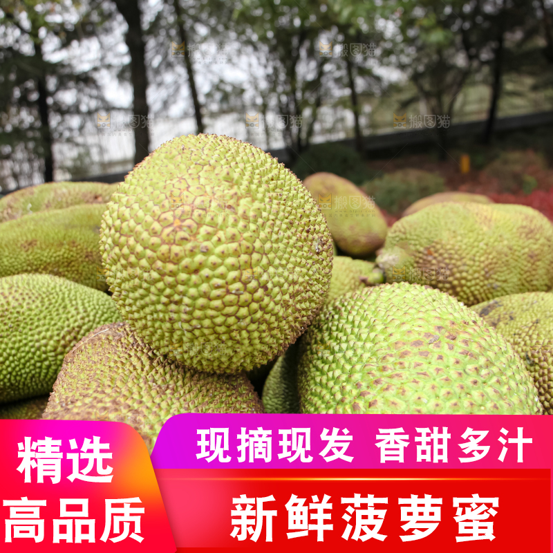 菠萝蜜