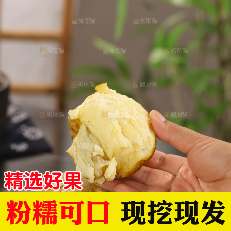 土豆