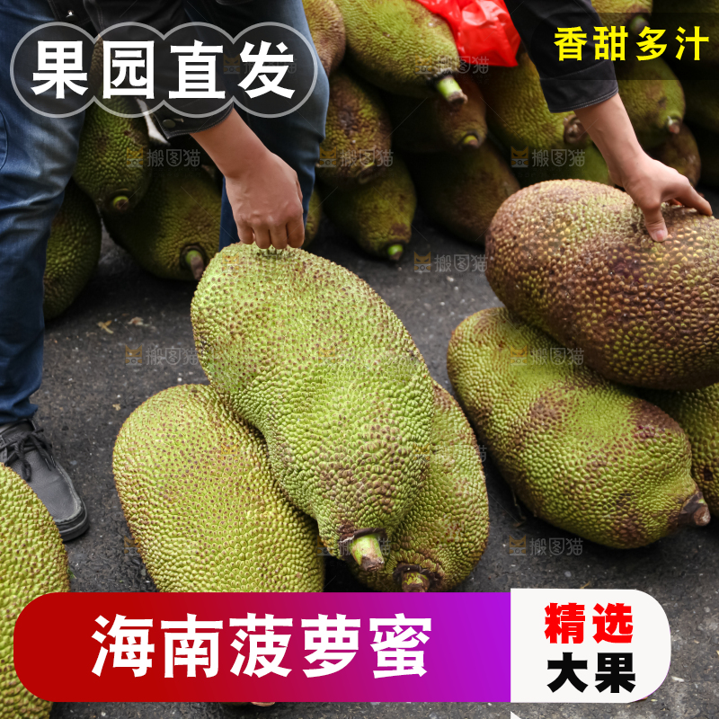 菠萝蜜