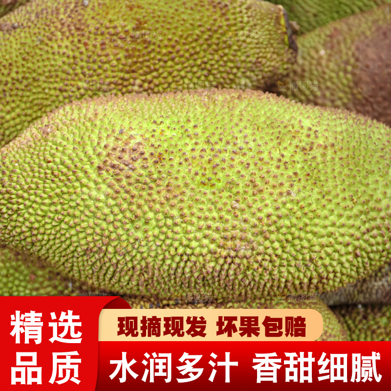 菠萝蜜