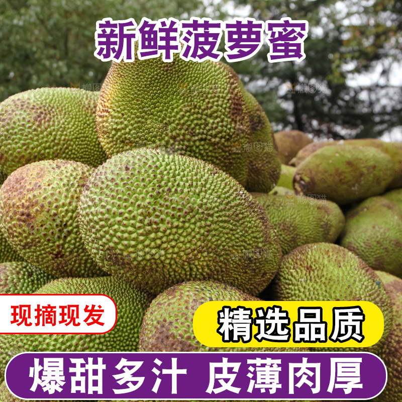 菠萝蜜