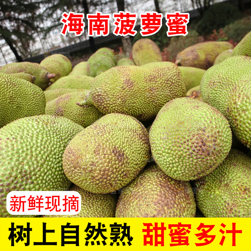 菠萝蜜