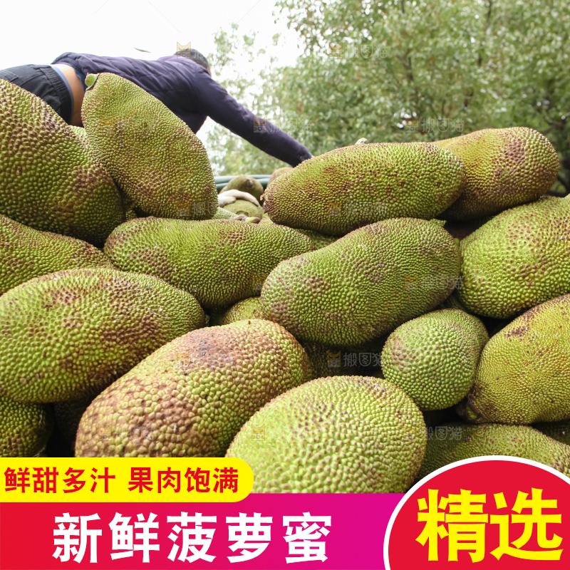 菠萝蜜