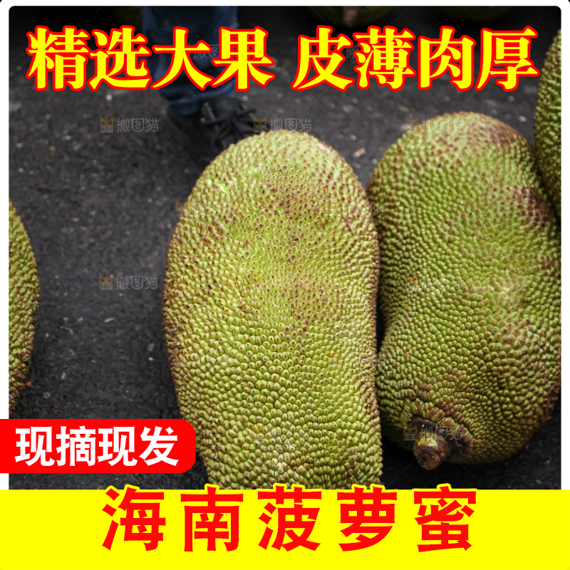 菠萝蜜