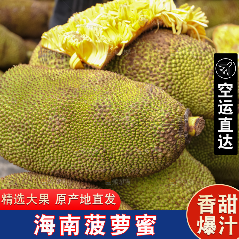 菠萝蜜