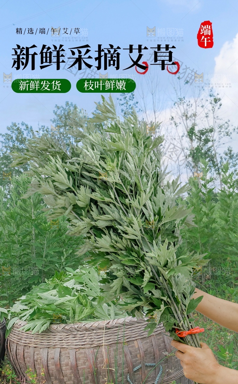 艾草详情页