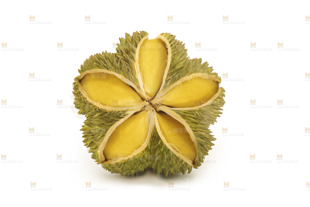 金枕榴莲