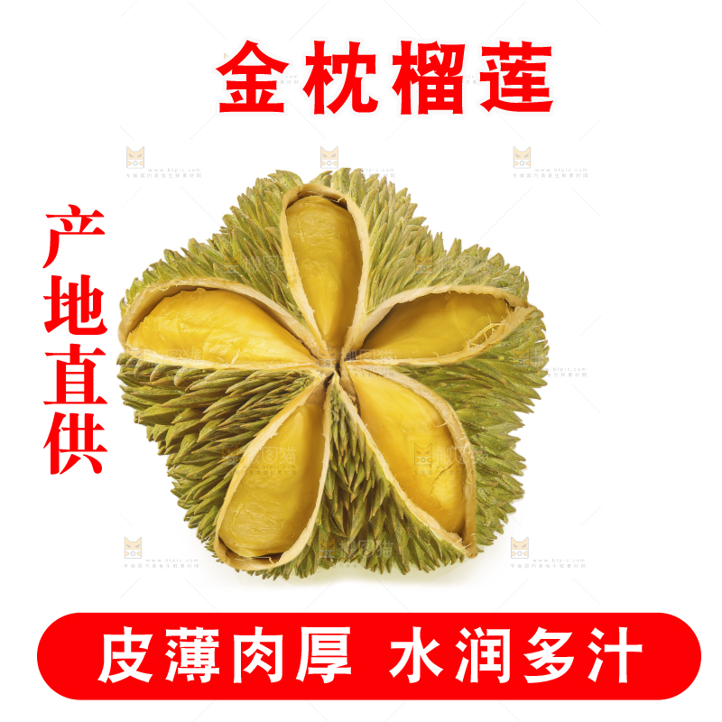 金枕榴莲