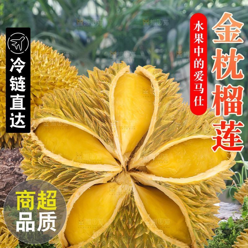 金枕榴莲