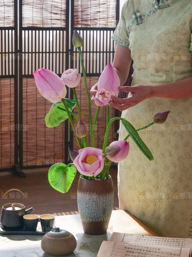 荷花