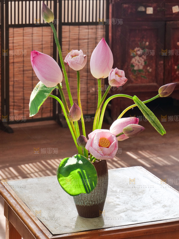 荷花
