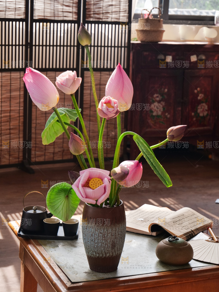 荷花