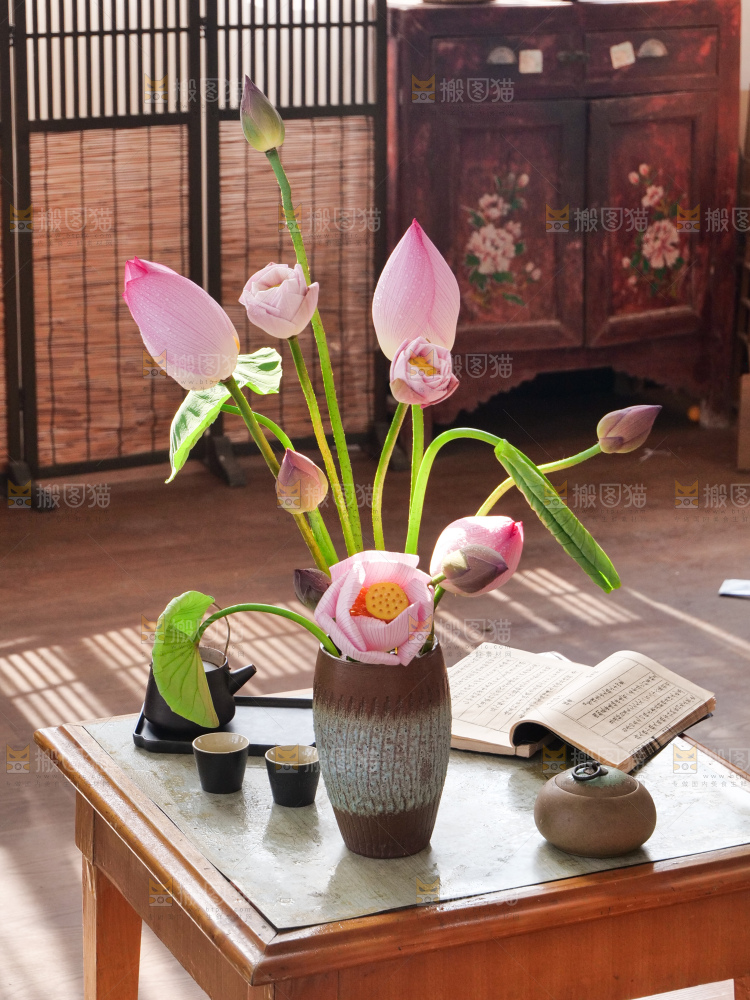 荷花