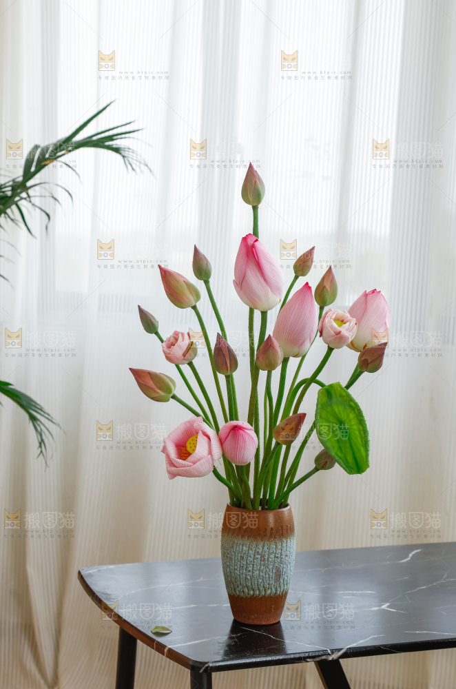 荷花
