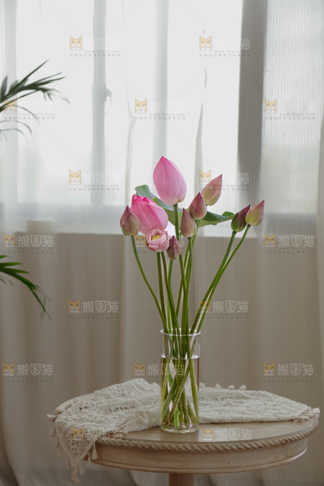 荷花