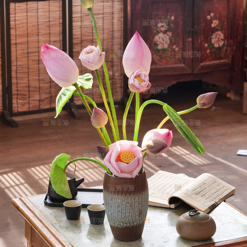 荷花