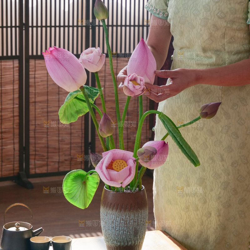 荷花