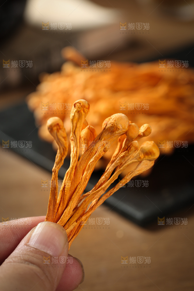 虫草花
