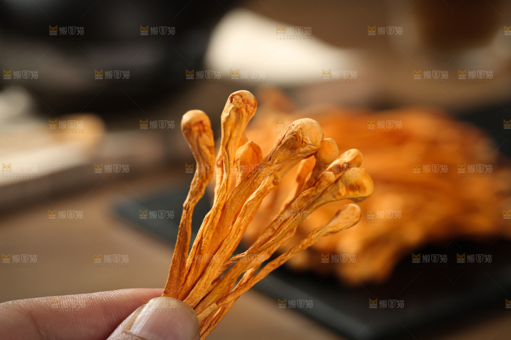 虫草花