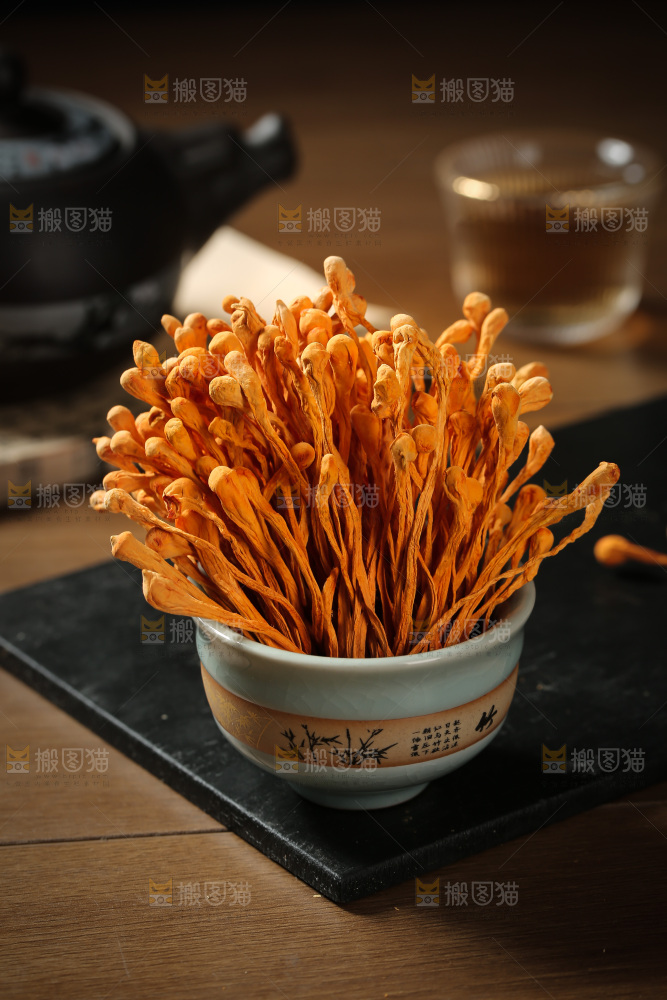 虫草花