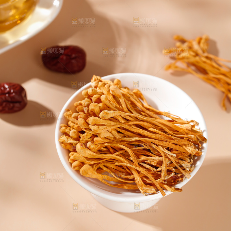 虫草花