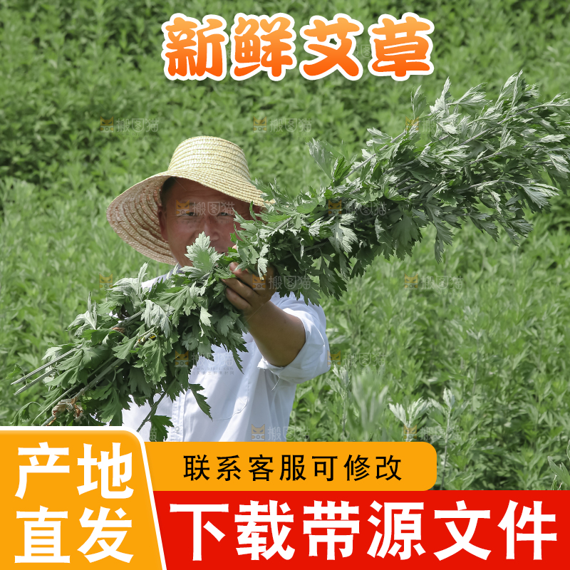 艾草