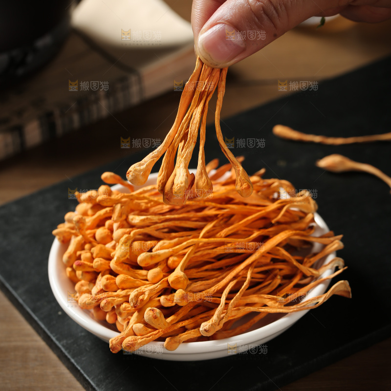 虫草花