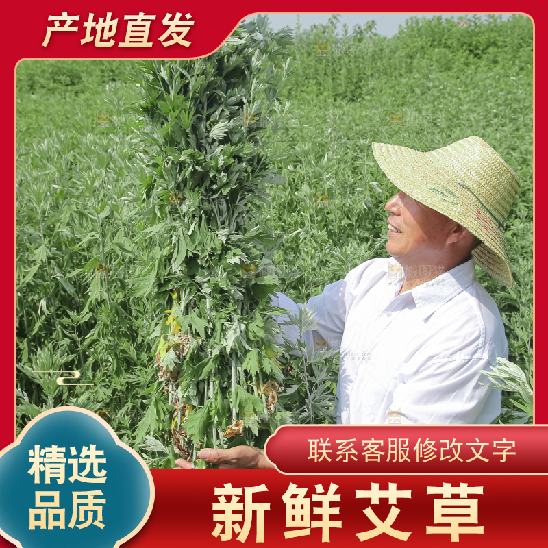 艾草