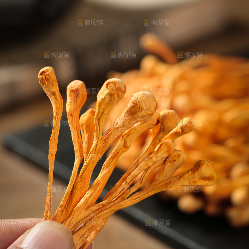 虫草花