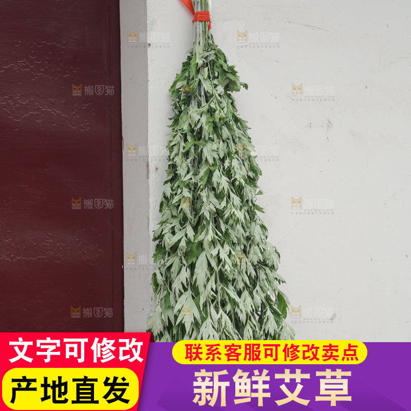 艾草