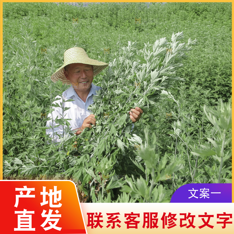 艾草