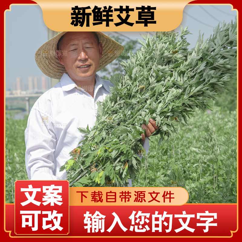 艾草