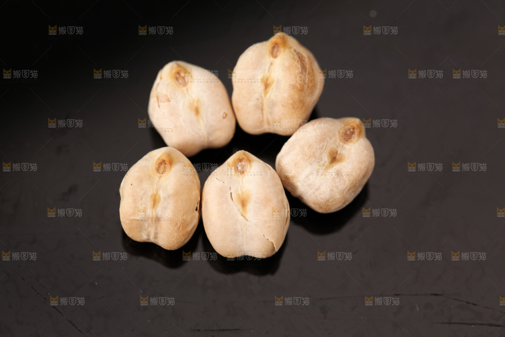鹰嘴豆