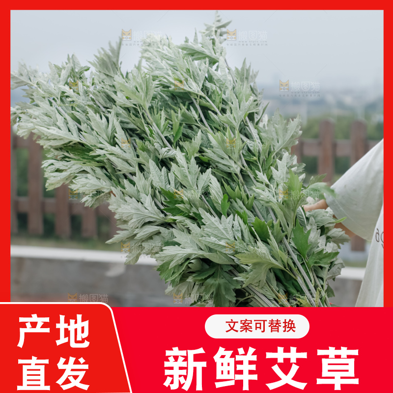 艾草