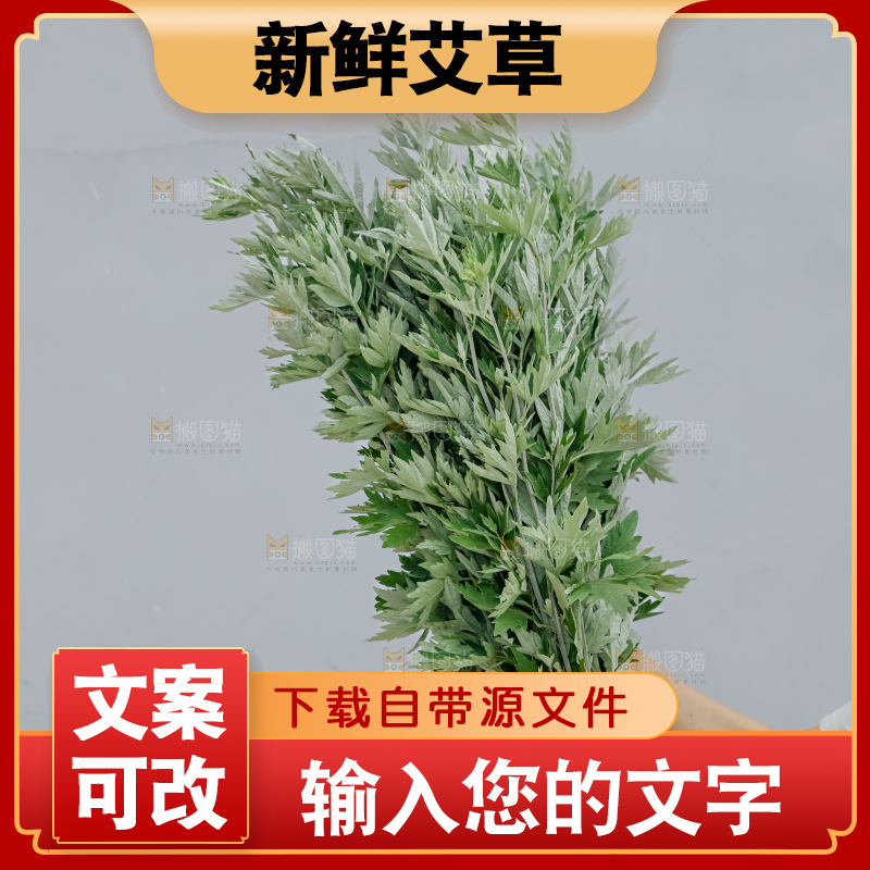 艾草