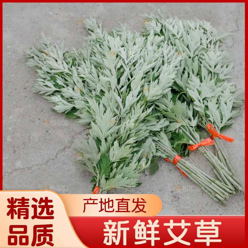 艾草