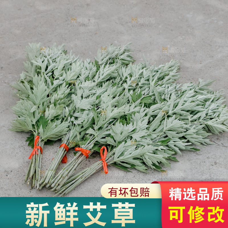 艾草