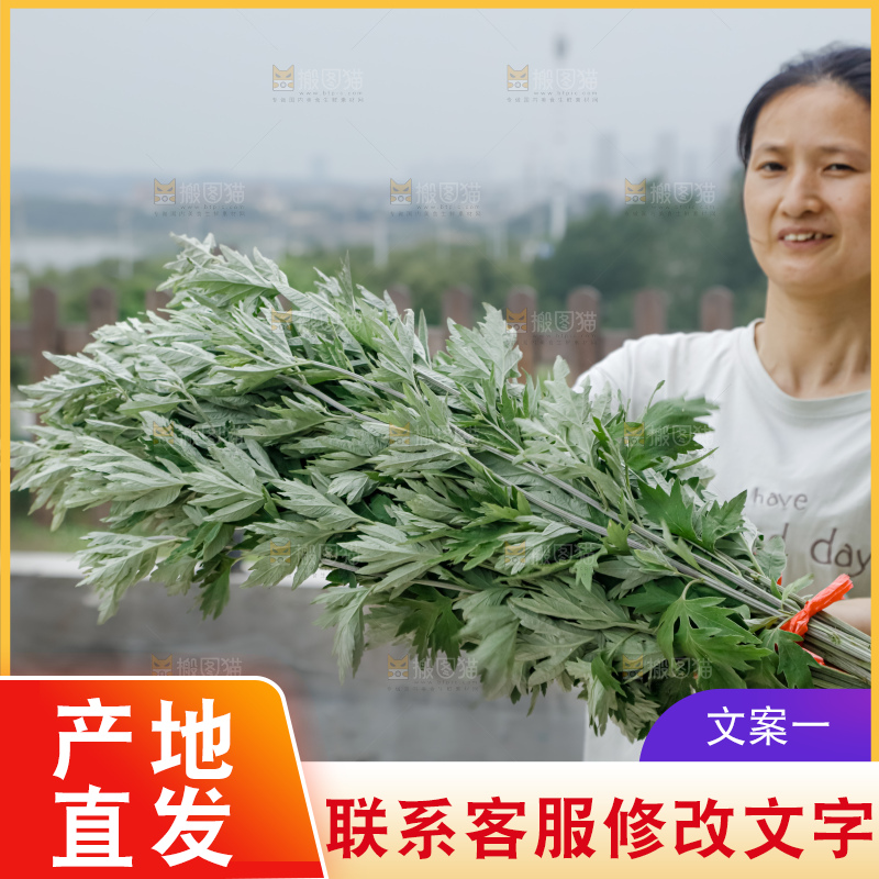 艾草