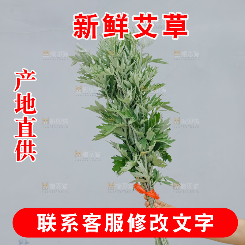 艾草