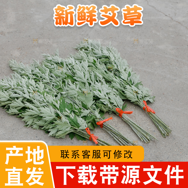 艾草